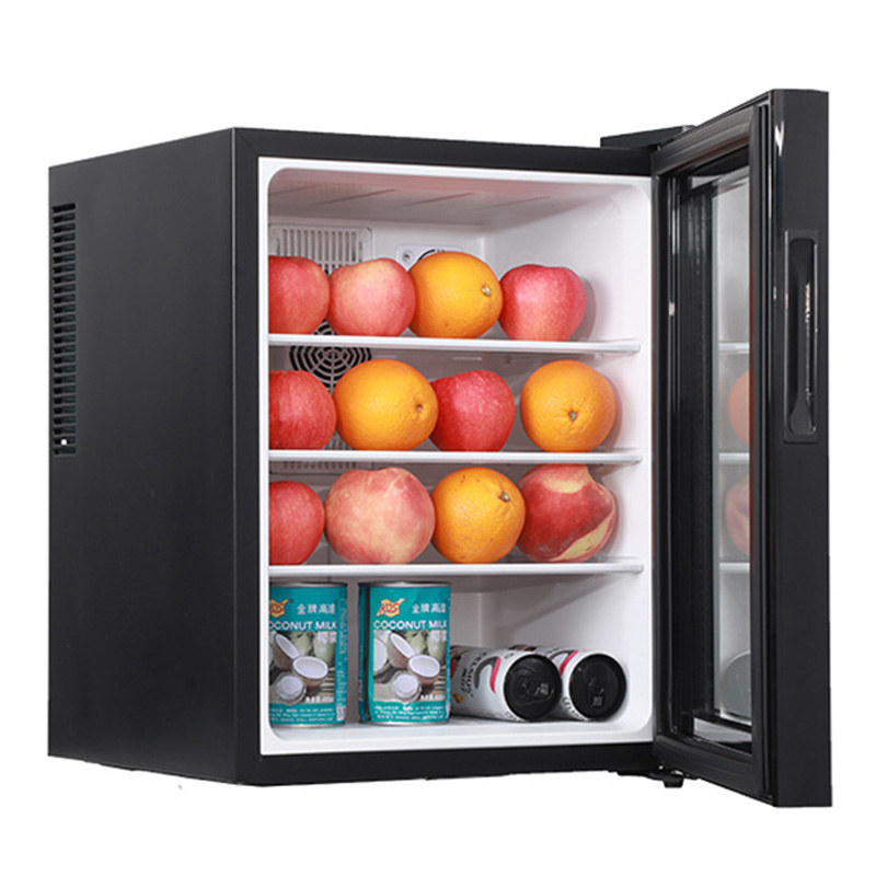 Mini Fridge Cooler 40L Refrige - Wine Beer Fridge Small ulasan dan harga