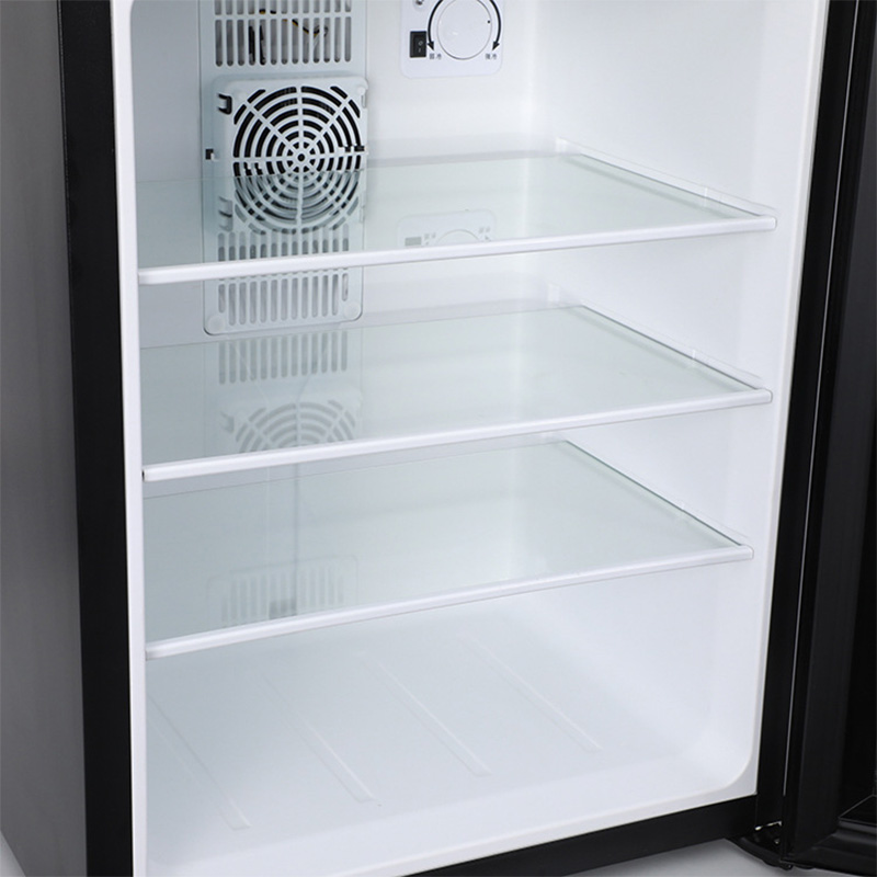 Mini Fridge Cooler 40L Refrige - Wine Beer Fridge Small ulasan dan harga