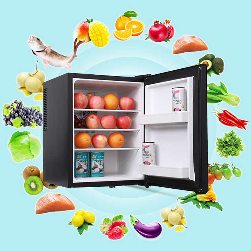 Mini Fridge Cooler 40L Refrige - Wine Beer Fridge Small ulasan dan harga