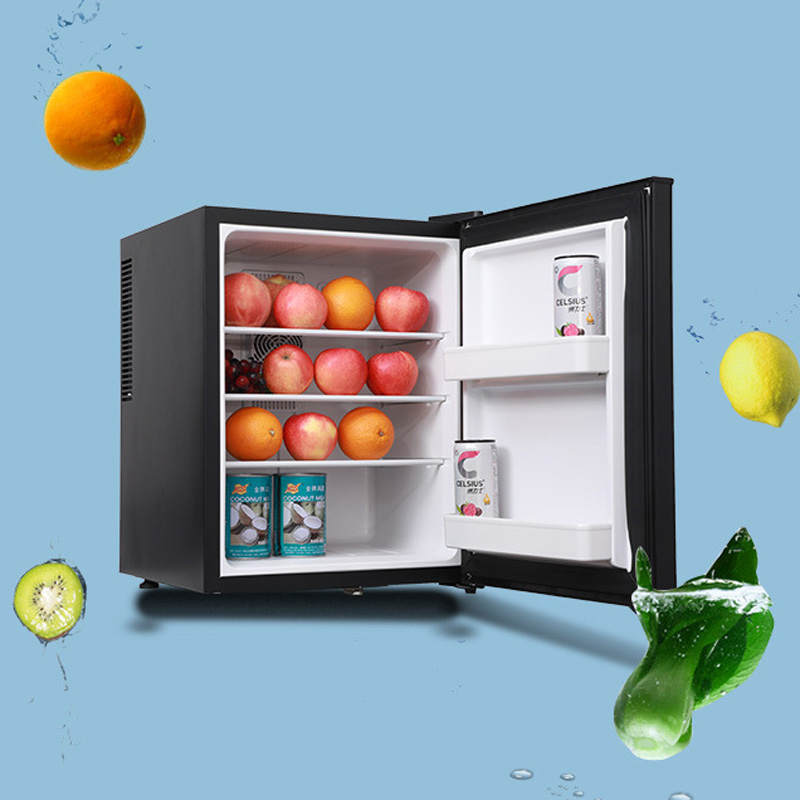 Mini Fridge Cooler 40L Refrige - Wine Beer Fridge Small ulasan dan harga