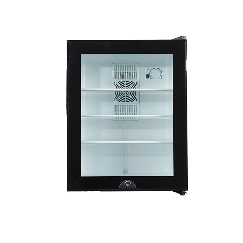 Mini Fridge Cooler 40L Refrige - Wine Beer Fridge Small ulasan dan harga